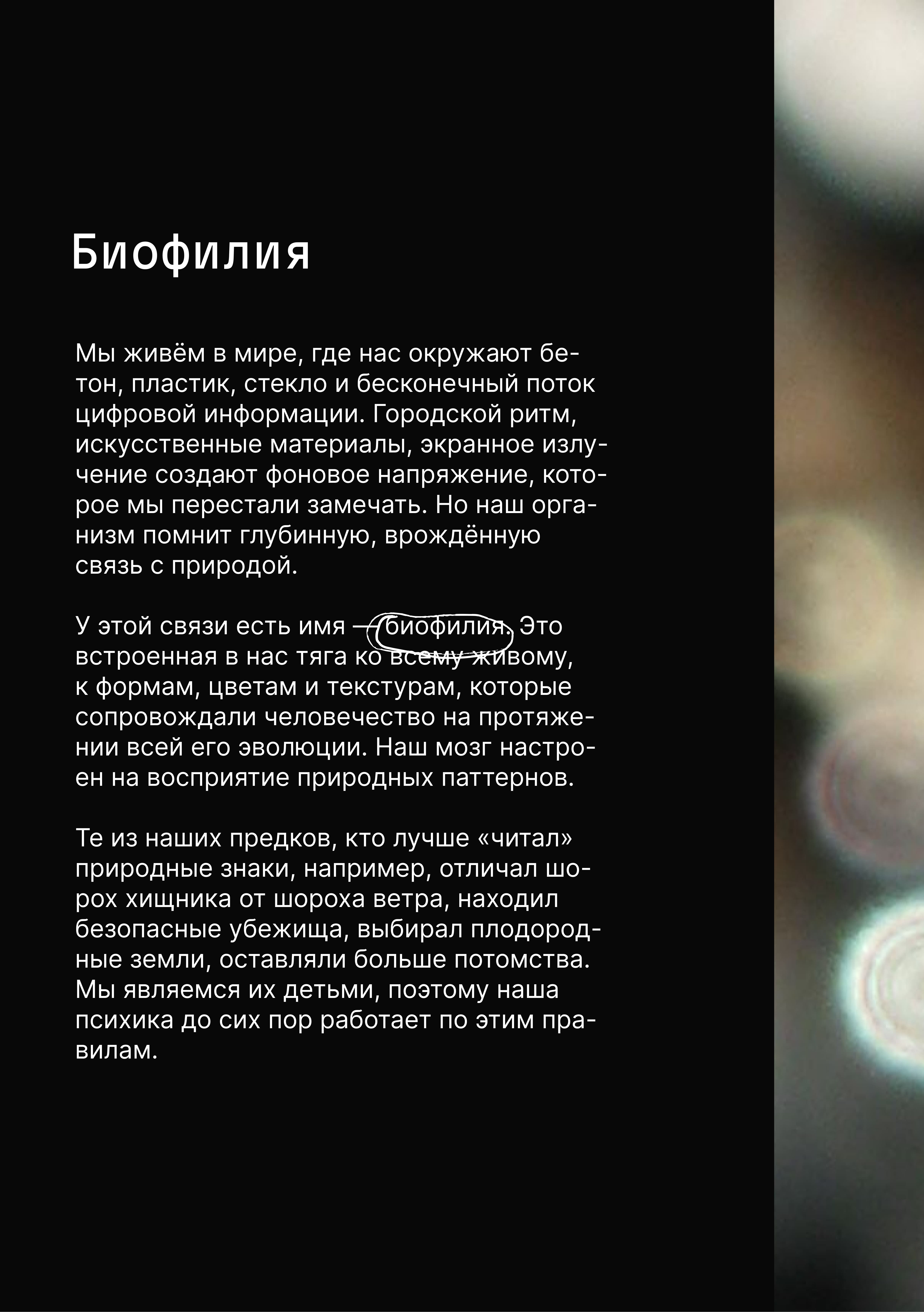 страница3_раздел1