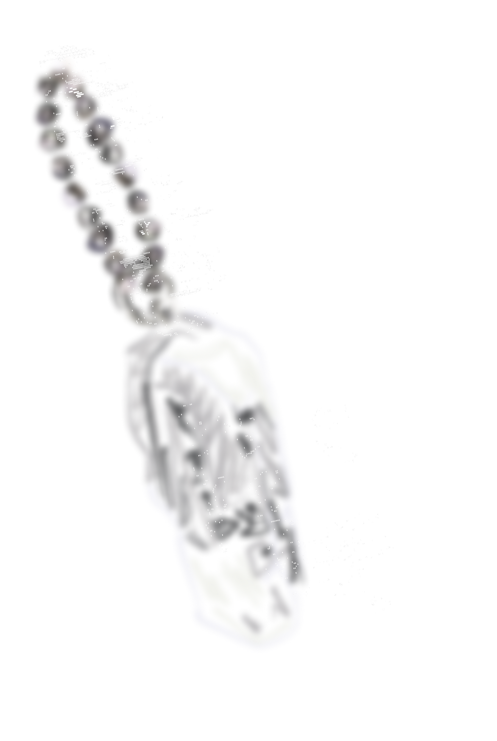 a19
