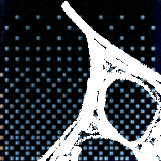 d41